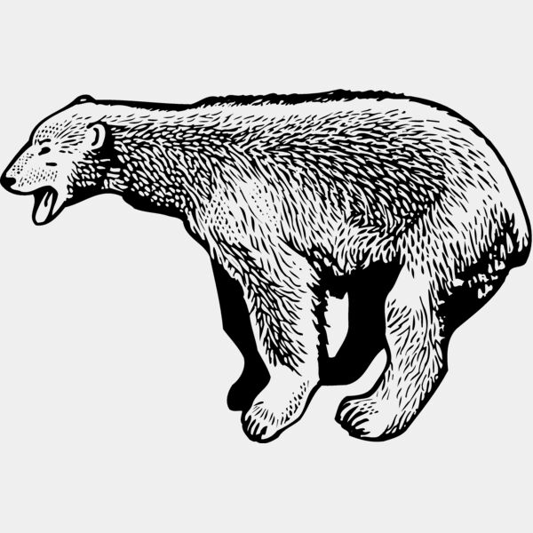 BEAR014_ Thumbnail