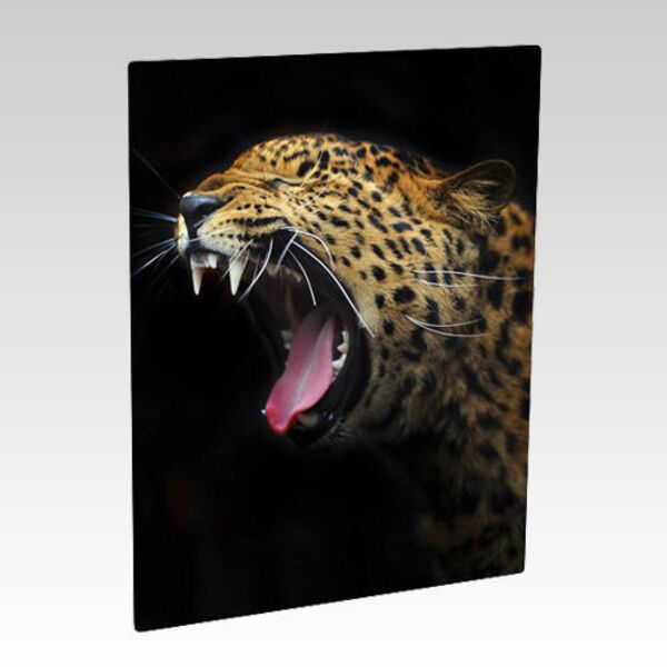 Photo Panel US-4551 Thumbnail