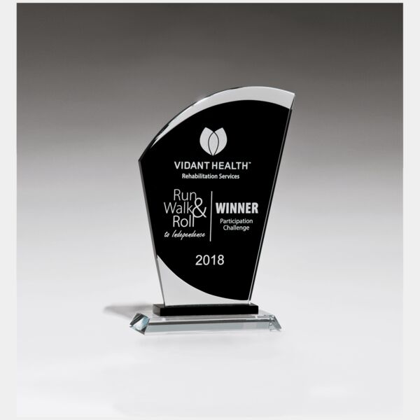 5 1/2" x 8 3/4" Sail Shaped Glass Award with Center Thumbnail