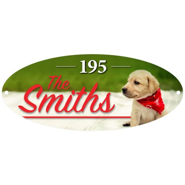 12" x 5" Gloss Unisub Oval Building Sign Thumbnail