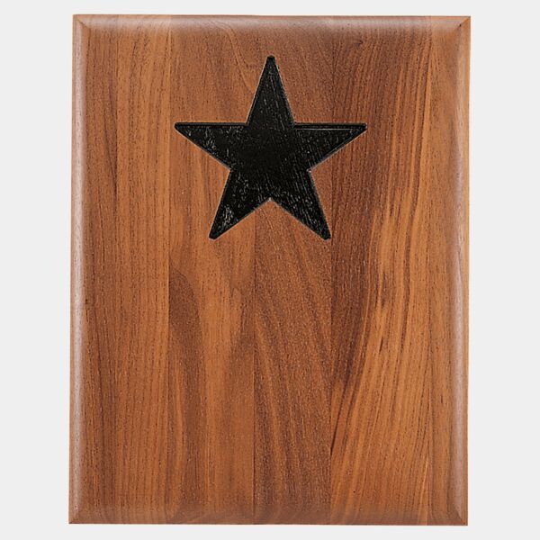 12" x 15" Piano Finish Plaque With Star Recess Thumbnail